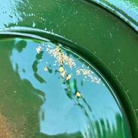 Sluiceboy Prospecting Gold Panning Paydirt Kit | 2.5LB Unsearched Paydirt Magnet Snifter Pan & Vial