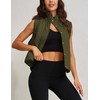 Zhiyouni Women's Quilted Puffer Vest Stand Collar Lightweight Button Down