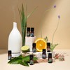 Cliganic Organic Geranium Essential Oil, 100% Pure Natural for Aromatherapy