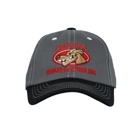 WITHMOONS Cotton Adjustable Embroidery Baseball Cap Dad Hats TR11537 (Grey)