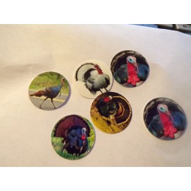 Unbranded Pre Cut One Inch Bottle Cap Images Turkey Bird Free Shipping - photo, 15 images