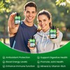 Moringa Capsules 12000mg – Organic Moringa Oleifera Leaf Powder, High