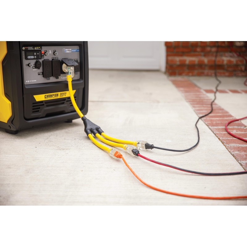 Champion Power Equipment 2 ft. 30A 125V Generator Adapter Cord