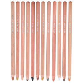 Skin Tone Pastel Pencil Portrait Pastel Pencil Hand Drawn Pastel Pencil, Toner Pencil Prevents Scratches, Thicker and Stronger Core, Drawing, Illustration, Coloring