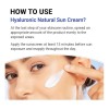 Isntree Bloqueador Spf50 Acido Hialurónico 50ml Pack