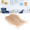 Pastoral Style Raffia Pendant Woven Wall Background Decoration for Home