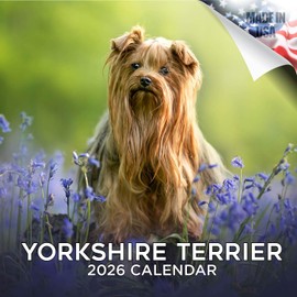 2025 2026 Yorkshire Terrier Calendar - Dog Breed Monthly Wall Calendar - 12" x 24" Open - Thick No-Bleed Paper - Giftable - Academic Teacher's Planner Calendar Organizing & Planning - Made in USA