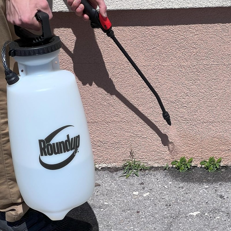 Roundup 190260 2-Gallon Lawn and Garden Sprayer for Controlling Insects