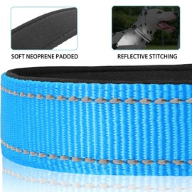 JSXD AirTag Dog Collar, Night Reflective Nylon Dog Collar for Small Medium Large Dogs,Lockable Quick Release Buckle,Padded Breathable Pet Collar with AirTag Holder (Blue, Small)