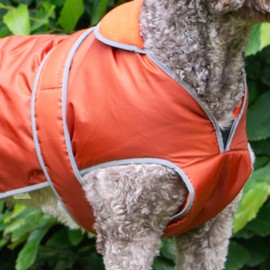 Ancol Stormguard Dog Coat in Terracotta - Waterproof Pet Jacket with Fleece Lining, Chest Protector, Elasticated Neck and Leg Straps - S