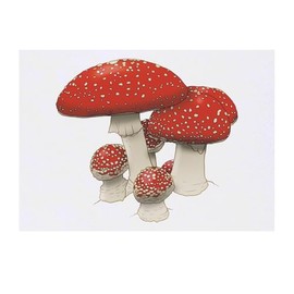 Azeeda 'Rote Pilze' Temporäres Tattoo - Hautfreundlicher & Ungiftiger Abziehbild · Wasserfest (TO00080691)