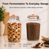 Glolaurge 1 Gallon Fermentation Jars with Airlocks & Glass Weights,