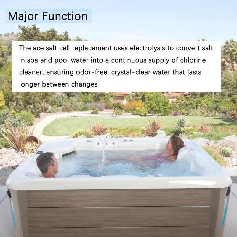 Dicsley The Salt Cell Replacement for Hot Spring ACE 76078,