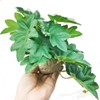 FLmoving Reptile Fake Plants for Terrarium Artificial Tank Decor Accessories