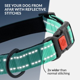 CollarDirect Reflective Dog Collar for Small Medium Large Dog Puppy with Quick Release Male 48 Varieties Nylon Waterproof