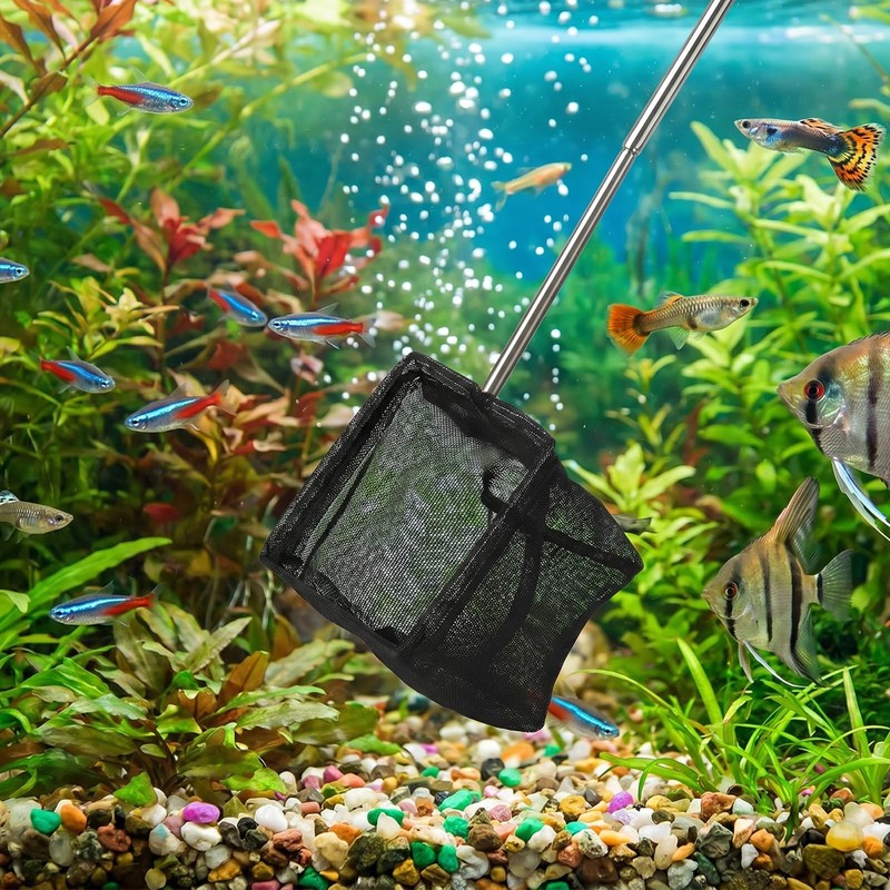 2 Pcs Aquarium Fish Nets Aquarium Shrimp Net Small Fish