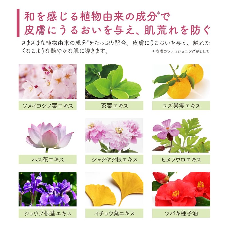 Hanaeimi Hand Cream February Plum