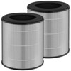 SAKEGDY 2-Pack JF100 Replacement Filter, Compatible with Jafanda JF100 Air