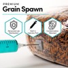 Mycelium Sterilized 5 LB Mushroom Grain Spawn Bag | Organic