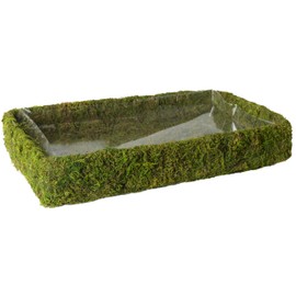 SuperMoss (50341 Rectangular Propagation Tray, Durable Seedling Starter Tray for Indoor Gardening, Plant Propagation, and Succulent Art, 18” x 12”, Fresh Green