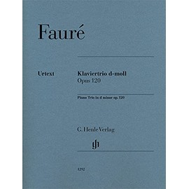 Piano Trio in d minor op. 120