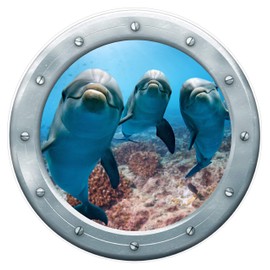 Kid's Bedroom 3 Dolphins Window Ocean Fish Aquarium Peel and Stick Sticker