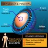 Vitamina D3 Liposomal 5000 Ui Gotas | Nanotecnología 50 Ml