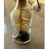 Set of 3 MAAJ Bottle Brushes Conical with Head Bundles