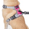 Escape Proof Dog Harness Medium Sized with Handle, Easy Walk