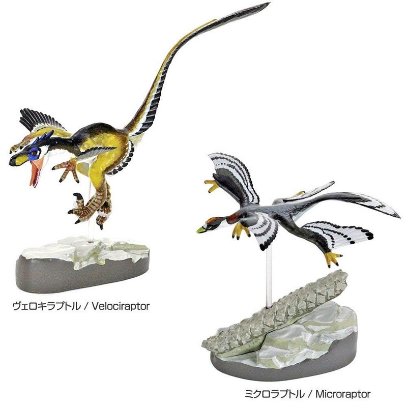 Carolata Feather Dinosaur Figure, 3D Picture Book (Dinosaurs, 7 Types,