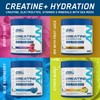 Applied Nutrition Creatine + Hydration Powder | Creatine Monohydrate, Electrolytes