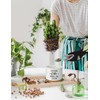 PWHINGN Feeling Cute Might Die Later Pot- Ceramic Engraved Succulent