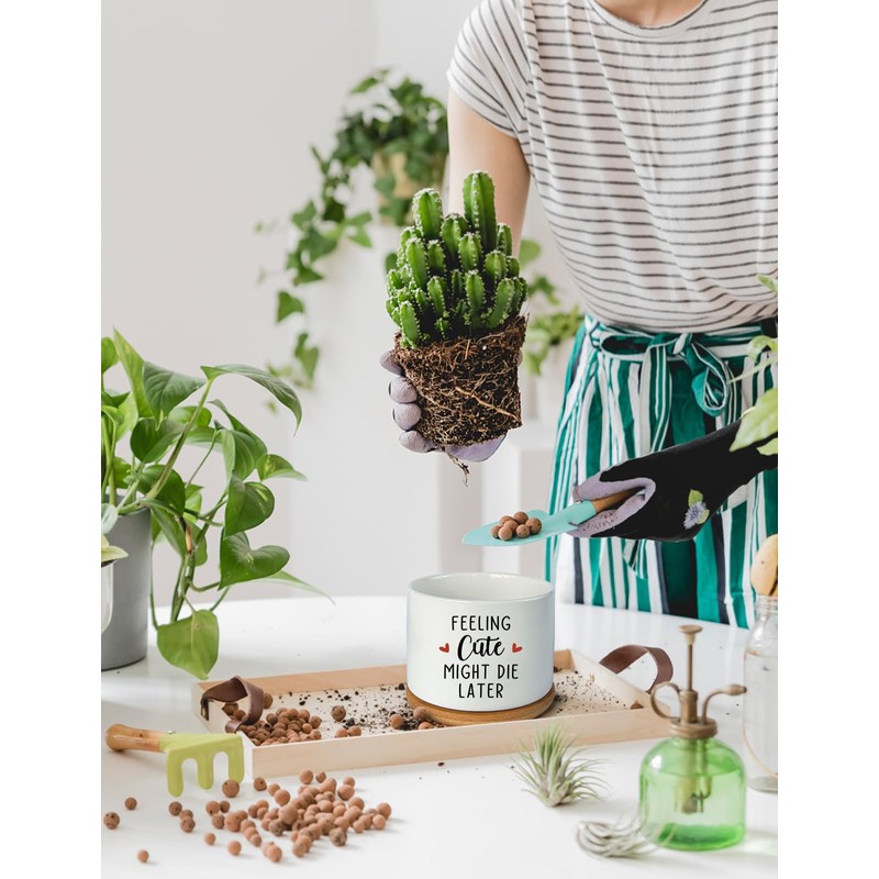 PWHINGN Feeling Cute Might Die Later Pot- Ceramic Engraved Succulent