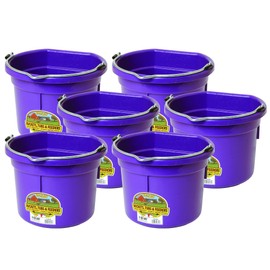Little Giant P8FBPURPLE 2 Gallon All Purpose Heavy Duty Farm Flat Back Plastic Buckets for Supplies, Toys, Laundry, and Water, Purple, (6 Pack)