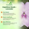 Outsidepride Extreme Lavender Impatiens Flower Seeds - 200 Pcs Annual,