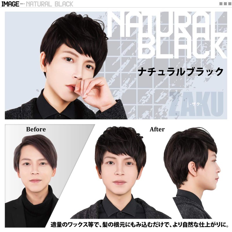 TefuRe MEN-002N-BLK Men's Wig, Short Wig, Men's Clothing