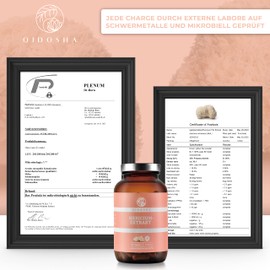 QIDOSHA® Hericium Extract Capsules High Dose 180 Pieces 1300 mg Hericium Erinaceus Vital Fungus Extract per Daily Dose Hedgehog Gosebeard Capsules Lion Mane Mane Mushroom Lions Mane Vegan Laboratory Tested