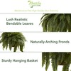 Nearly Natural 6788 Double Giant Boston Fern Hanging Basket,Green