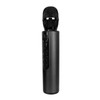 Bluetooth Karaoke Mic Dual 5W Speakers Clear Sound 2000mAh Battery