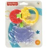 Fisher Price - Friendly Frog Teether (Cbk76)