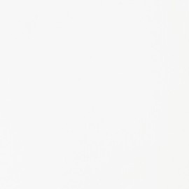 Liquitex BASICS Acrylic Fluid Paint, 118ml (4-oz) Bottle, Titanium White