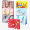 Youngstar Tarpaulin Bag Small Blue Check 2ea