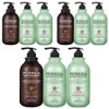 Baron Premium Moringa Hair 2-piece Gift Set E, 3 Sets / 바론 프리미엄 모링가 헤어 2종 선물세트 E, 3세트