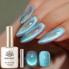 Born Pretty Blue Cat Magnetic Eye Gel Nail Polish, Rainbow