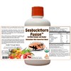 Seabuckthorn Fusion - Certified Organic Seabuckthorn Juice Blend From CAOH®