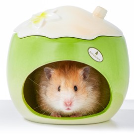 BUCATSTATE Coconut Shape Ceramic Hamster Hideout with Removable Lid & Ice Compartment - All-Season Cool Bed for Dwarf Hamster, Gerbil, Mice, Golden Bear - Large Green Small Pet House Habitat