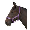 Gallop Basic Nylon Headcollar and Lead Rope Set, Full Size,