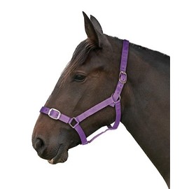 Gallop Basic Nylon Headcollar and Lead Rope Set, Full Size, Purple