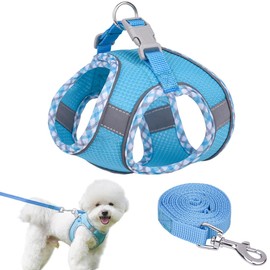 Arnés para Perro y Gato Pequeño MedianoArnés Pechera Reflectante Transpirable Ligero para Caminar Viajar Entrenar, con Correa 1.5m, (Azul, M)