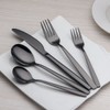Berglander 20 Piece Titanium Black Plated Stainless Steel Flatware Set,